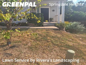 Lawn Mowing Service nearby Austin, TX, 