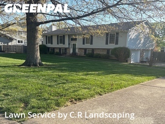 Lawn mowed in Lexington, 40502