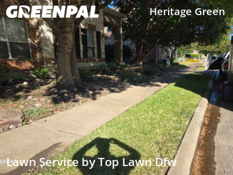 Landscapers In Frisco,75034,Landscaping Services by Top Lawn Dfw, work completed in Nov , 2025
