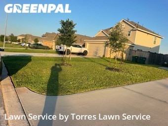 Lawn Cut nearby Porter, TX, 