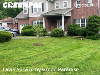 Lawn Cut nearby Nashville, TN, 