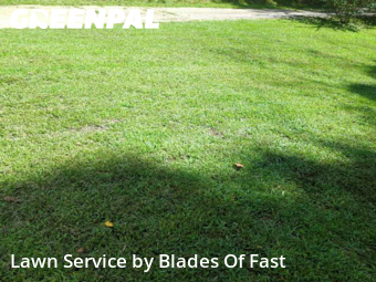 Lawn Mowing Service nearby East Point, GA, 