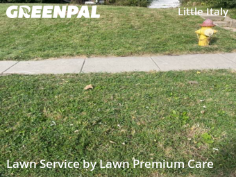 Grass Cut nearby Omaha, NE, 