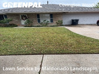 Lawn Servicein Sugar Land,77498,Lawn Mow by Maldonado Landscapin, work completed in Jan , 2026