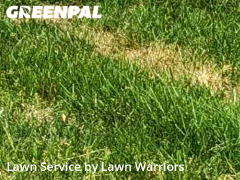 Lawn Service nearby Plain City, OH, 