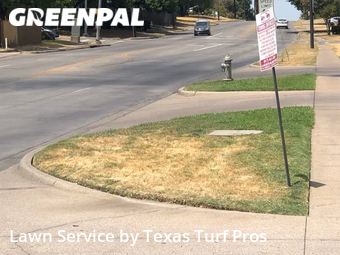 Grass Cut nearby Arlington, TX, 