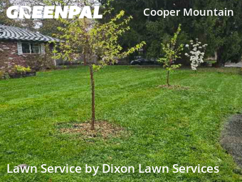 Lawn Service nearby Aloha, WA, 