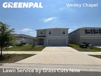 Lawn Mow nearby Wesley Chapel, FL, 