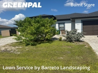 Grass Cut nearby Cape Coral, FL, 