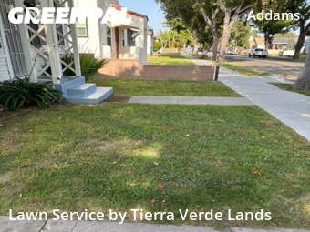 Yard Mowing nearby Long Beach, CA, 