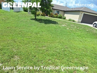 Yard Mowing nearby Cape Coral, FL, 
