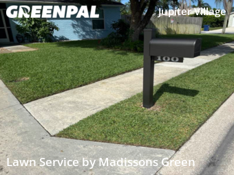 Lawn Mow nearby Jupiter, FL, 