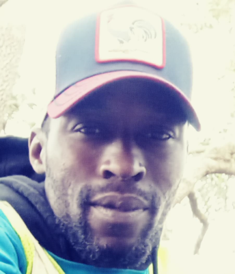 Green On Green Lands