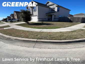 Lawn Cut nearby New Braunfels, TX, 