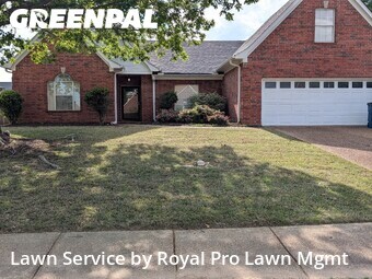 Lawn Cutting nearby Olive Branch, MS, 