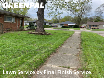 Grass Cut nearby Detroit, MI, 