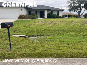 Lawn Care nearby Lehigh Acres, FL, 