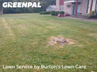Yard Work in Boardman, 44512, Yard Care by Burton's Lawn Care, work completed in Nov , 2025