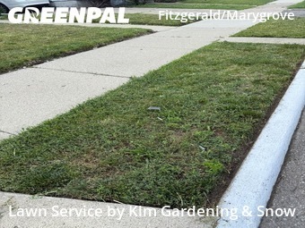 Lawn Cutting nearby Detroit, MI, 