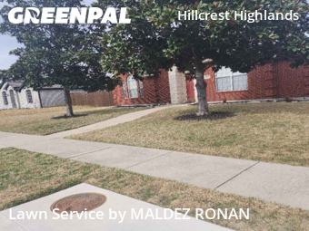 Landscape Design In Frisco,75254,Landscape Design by MALDEZ RONAN, work completed in Jan , 2026