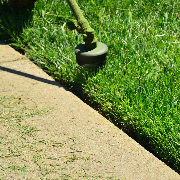 local-lawn-maintenance-contractors-in-Wauwatosa-WI