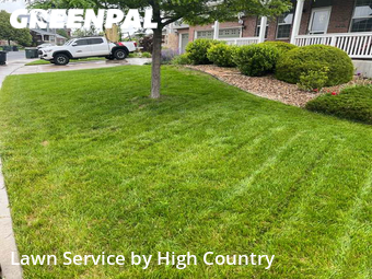 Lawn Care Service nearby Thornton, CO, 