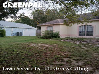 Grass Cut nearby Ocoee, FL, 