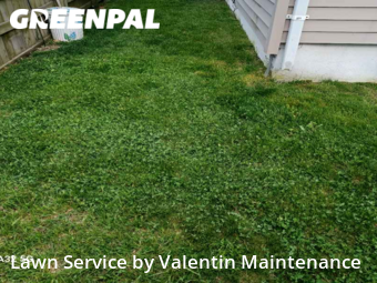 Grass Cut nearby Milford, CT, 