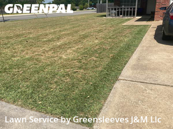Lawn Cut nearby College Station, TX, 