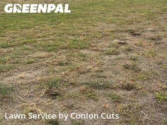 Lawn Care nearby Palmetto, FL, 