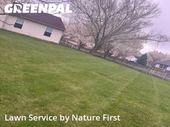 Yard Cutting nearby Noblesville, IN, 