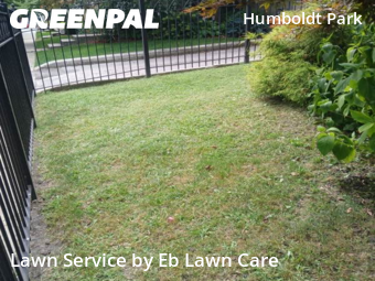 Lawn Cutting nearby Chicago, IL, 