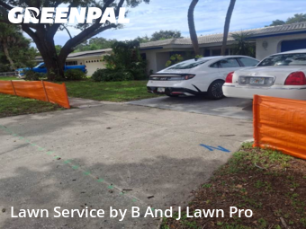 Lawn Carein Dunedin,34698,Lawn Care Service by B And J Lawn Pro, work completed in Nov , 2025