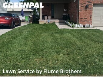 Lawn Cutting nearby Roseville, MI, 