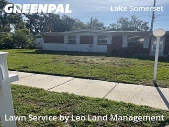 Grass Cutting nearby Lakeland, FL, 