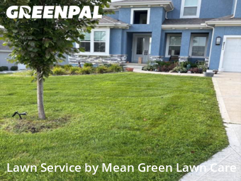 Lawn Servicein Overland Park,66224,Lawn Mowing Service by Mean Green Lawn Care, work completed in Nov , 2025