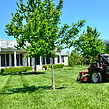 lawn-care-services-in-Olive Branch-MS