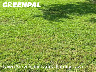 Grass Cut nearby Columbia, SC, 