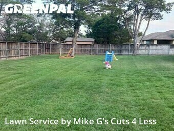 Grass Cut nearby New Braunfels, TX, 