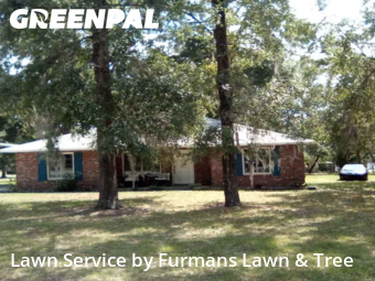 Grass Services in Lake City, 32055, Yard Mowing by Furmans Lawn & Tree , work completed in Nov , 2025