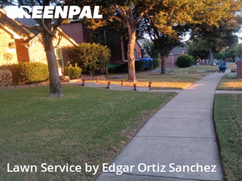Yard Management in Allen, 75002, Yard Management by Edgar Ortiz Sanchez, work completed in Nov , 2025