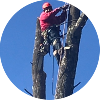 local-lawn-care-services-in-Norwalk-CT