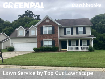 Grass Cut nearby Matthews, NC, 