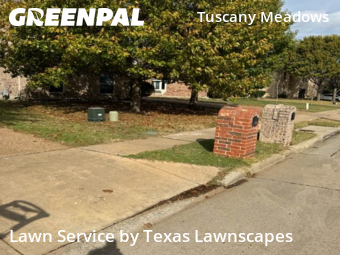 Landscaping Renovation In Frisco,75035,Landscaping Maintenance by Texas Lawnscapes, work completed in Dec , 2025