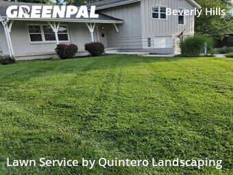 Grass Cut nearby Overland Park, MO, 