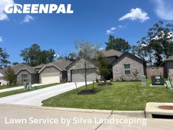 Lawn Cut nearby Conroe, TX, 