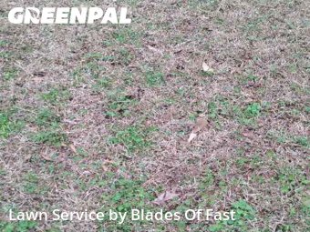 Grass Cutting nearby Atlanta, GA, 