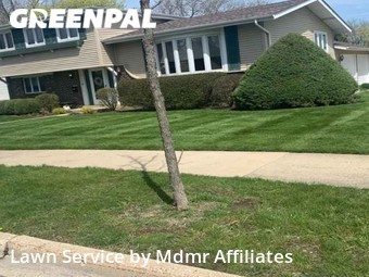 Lawn Cutting nearby Arlington Heights, IL, 
