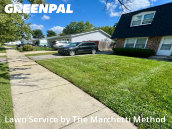 Grass Cut nearby North Aurora, IL, 