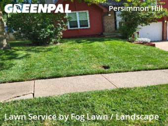 Yard Mowing nearby Olathe, KS, 